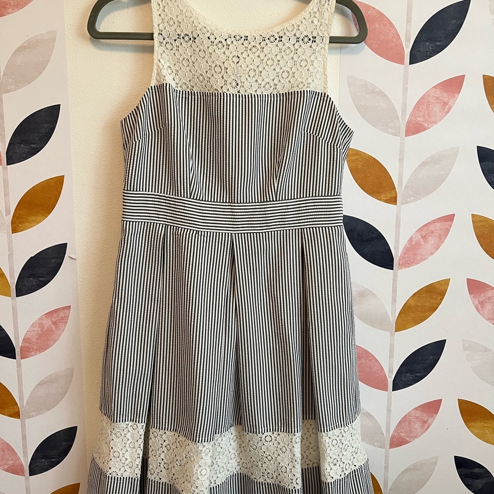 Striped Lace Spring Dress